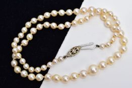 A CULTURED PEARL STRAND NECKLET, designed with a row of graduated cultured pearls, measuring