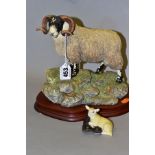 A LIMITED EDITION BORDER FINE ARTS SCULPTURE, 'Blackie Tup' B0354, No 591/1750, modeller Ray