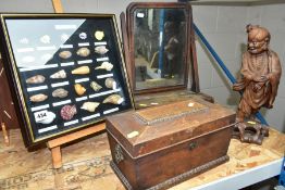 A CASKET SHAPED TEA CADDY WITH GILT MOUNTS,approximate height 17cm x width 31cm x depth 16cm,