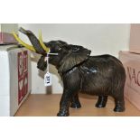 A BESWICK ELEPHANT - TRUNK STRETCHING (LARGE), model No.998, gloss, trunk and tusks intact,