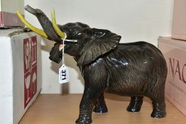A BESWICK ELEPHANT - TRUNK STRETCHING (LARGE), model No.998, gloss, trunk and tusks intact,
