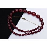 A CHERRY AMBER BAKELITE BEAD NECKLACE, designed with a row of forty graduated cherry red oval beads,