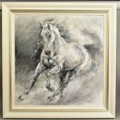 GARY BENFIELD (BRITISH 1965) 'STORM' a limited edition print of a white horse in motion 16/195,