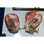 TWO 1940'S PERCUSSION SKULLS, of two different sizes (in tatty condition)
