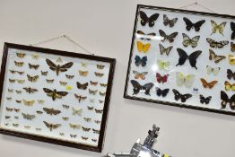 LEPIDOPTEROLOGY, TWO CASES OF MOUNTED BUTTERFLIES AND MOTHS, one containing twenty nine specimens,