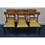 A SET OF SIX REGENCY MAHOGANY SABRE LEG CHAIRS, with bar back and gold upholstered drop in seat pads