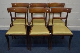 A SET OF SIX REGENCY MAHOGANY SABRE LEG CHAIRS, with bar back and gold upholstered drop in seat pads