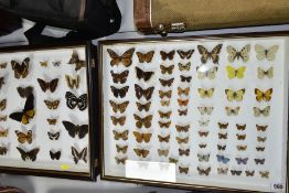 LEPIDOPTEROLOGY, TWO CASES OF MOUNTED BUTTERFLIES, one containing twenty nine specimens, the other