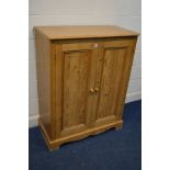 A PINE TWO DOOR CUPBOARD, width 95cm x depth 47cm x height 119cm