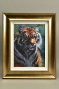 ROLF HARRIS (AUSTRALIAN 1930) 'TIGER IN THE SUN' a limited edition print 146/195, signed bottom