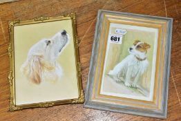 TWO UNSIGNED WATERCOLOUR STUDIES OF DOGS, a portrait of a Golden Retriever and a seated portrait