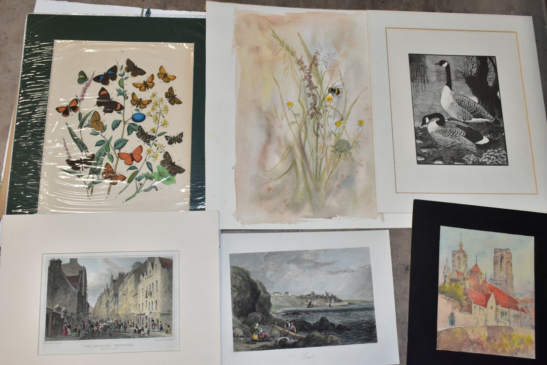 PAINTINGS AND PRINTS, to include a watercolour study of Wild Flowers and a Bee by Elizabeth - Image 3 of 5