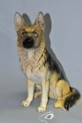 A BESWICK SEATED ALSATION DOG, impressed 2410 Beswick England to base, height approximately 35cm (