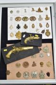 A LOCKABLE ALUMINUM AND GLASS DISPLAY CASE, containing two cards of Military related cap badges,