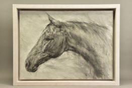 GARY BENFIELD (BRITISH 1965) 'TITIAN STUDY' a head profile monochrome portrait of a horse, signed