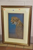 KIM DONALDSON (ZIMBABWE 1952) a portrait of a Cheetah, signed lower left, Halcyon Gallery label