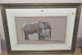 KIM DONALDSON (ZIMBABWE 1952) 'ELEPHANT AND CALF' a study of African elephants, signed bottom right,