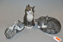 THREE ROYAL COPENHAGEN CATS, comprising sleeping tabby cat No.442, a seated cat, No.1803, height