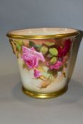 A ROYAL WORCESTER BLUSH IVORY PLANTER, hand painted with pink and red roses, signed Sedgley below