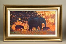 ROLF HARRIS (AUSTRALIAN 1930) 'BACKLIT GOLD', a limited edition print of Indian elephants 178/195,