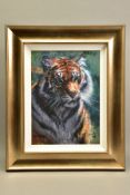 ROLF HARRIS (AUSTRALIA 1930) 'TIGER IN THE SUN' a limited edition print 82/195, signed bottom right,