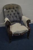 A DISTRESSED VICTORIAN MAHOGANY BUTTON BACK ARM CHAIR, scrolled arm rests, on turned acanthus
