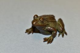 A 20TH CENTURY SMALL BRONZE FIGURE OF A TOAD, indistinct mark to the underside, height 2.3cm x