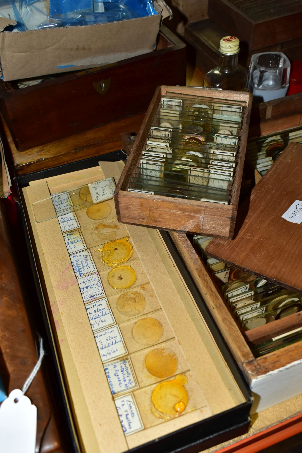 A LARGE QUANTITY OF ASSORTED MICROSCOPE SLIDES, Victorian and later, many named, biology, insects, - Image 3 of 7
