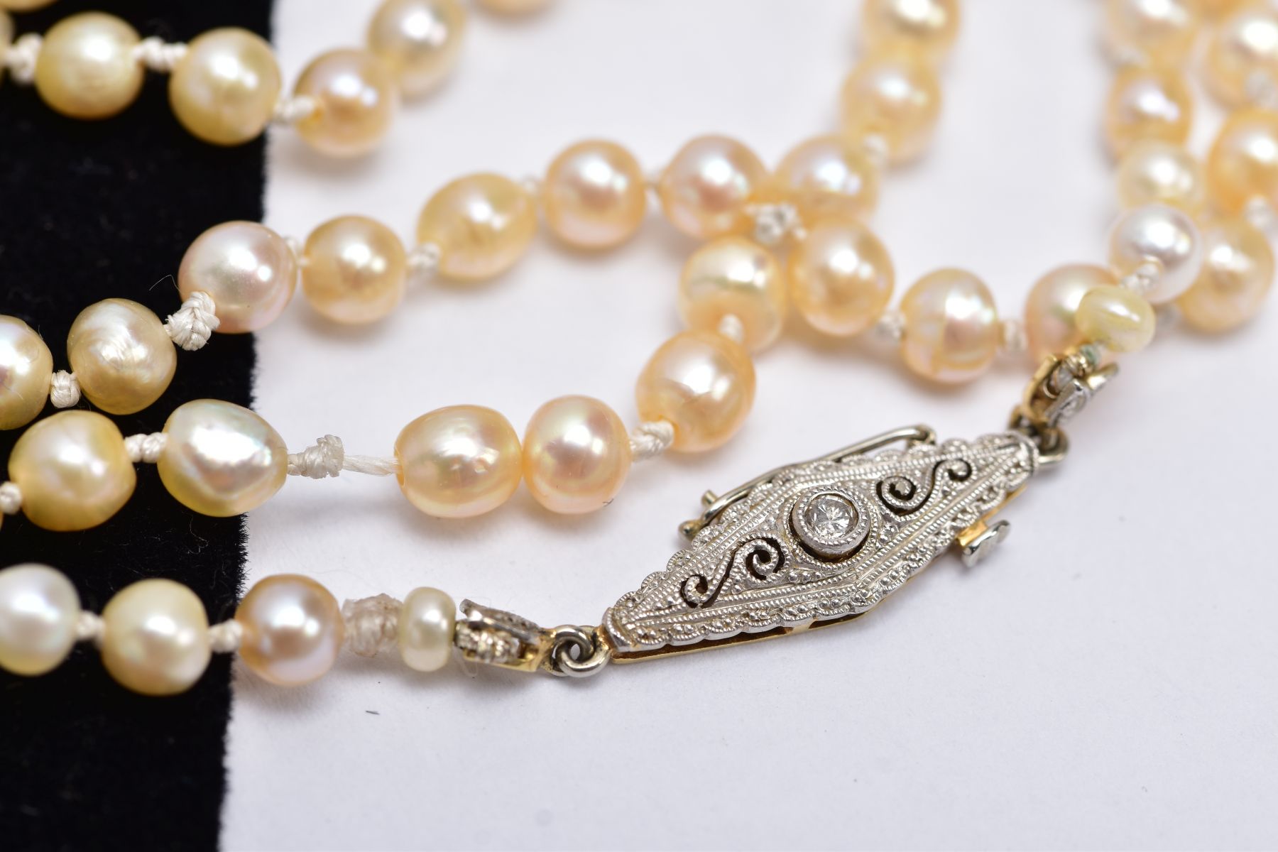 A FRESHWATER PEARL NECKLET, designed with a row of graduated pearls, fitted with yellow metal - Image 2 of 4