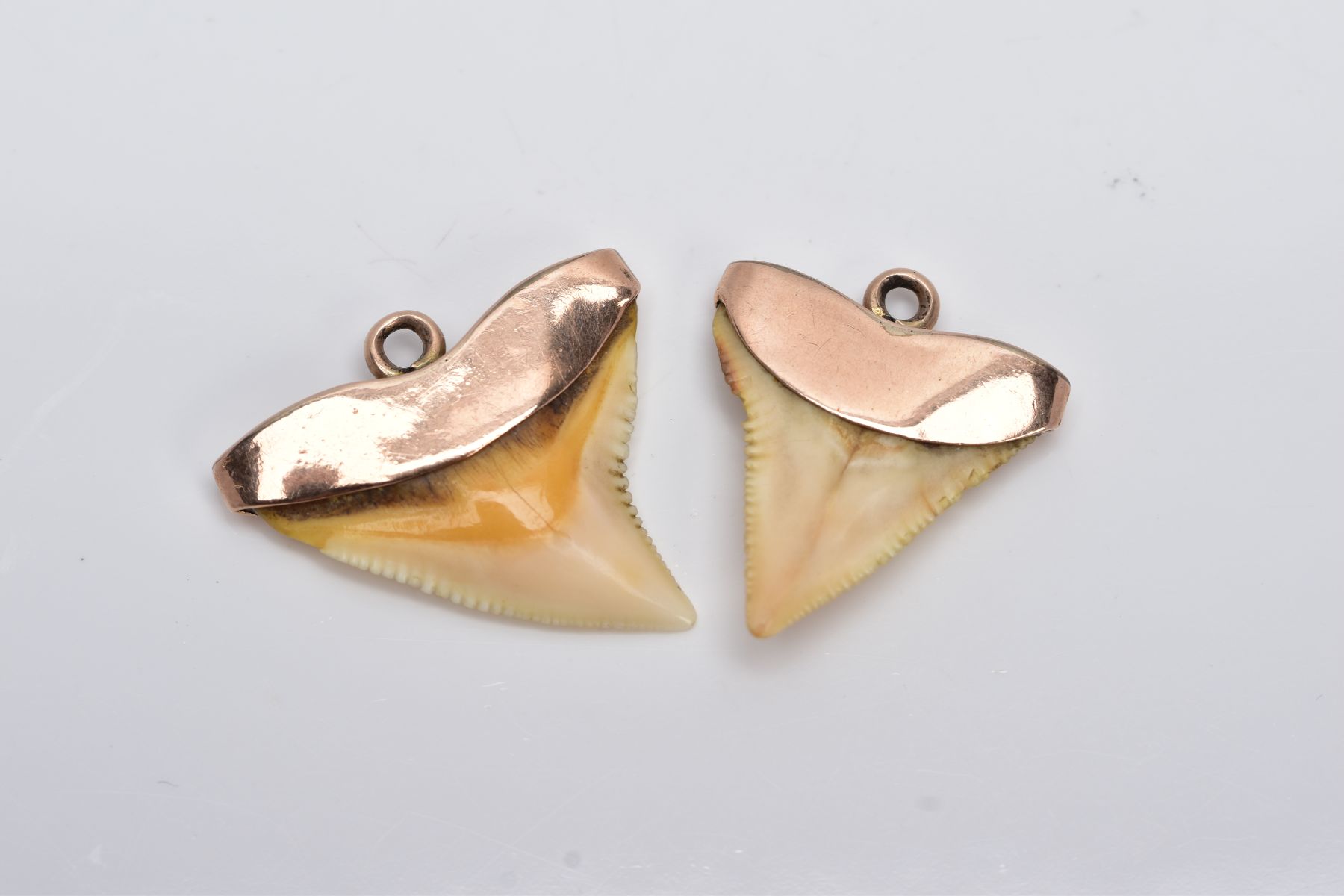 TWO YELLOW METAL MOUNTED SHARK TEETH, each mounted with a suspension ring, no hallmarks or stamps, - Image 2 of 2