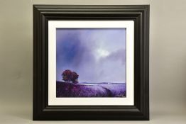BARRY HILTON (BRITISH CONTEMPORARY) 'LAVENDER SKIES' an artist proof print of a landscape 11/20,