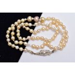 A FRESHWATER PEARL NECKLET, designed with a row of graduated pearls, fitted with yellow metal