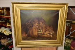 AFTER GEZA VASTAGH 'A LION AND LIONESS', painted reproduction of two lions, signed H Whittock?