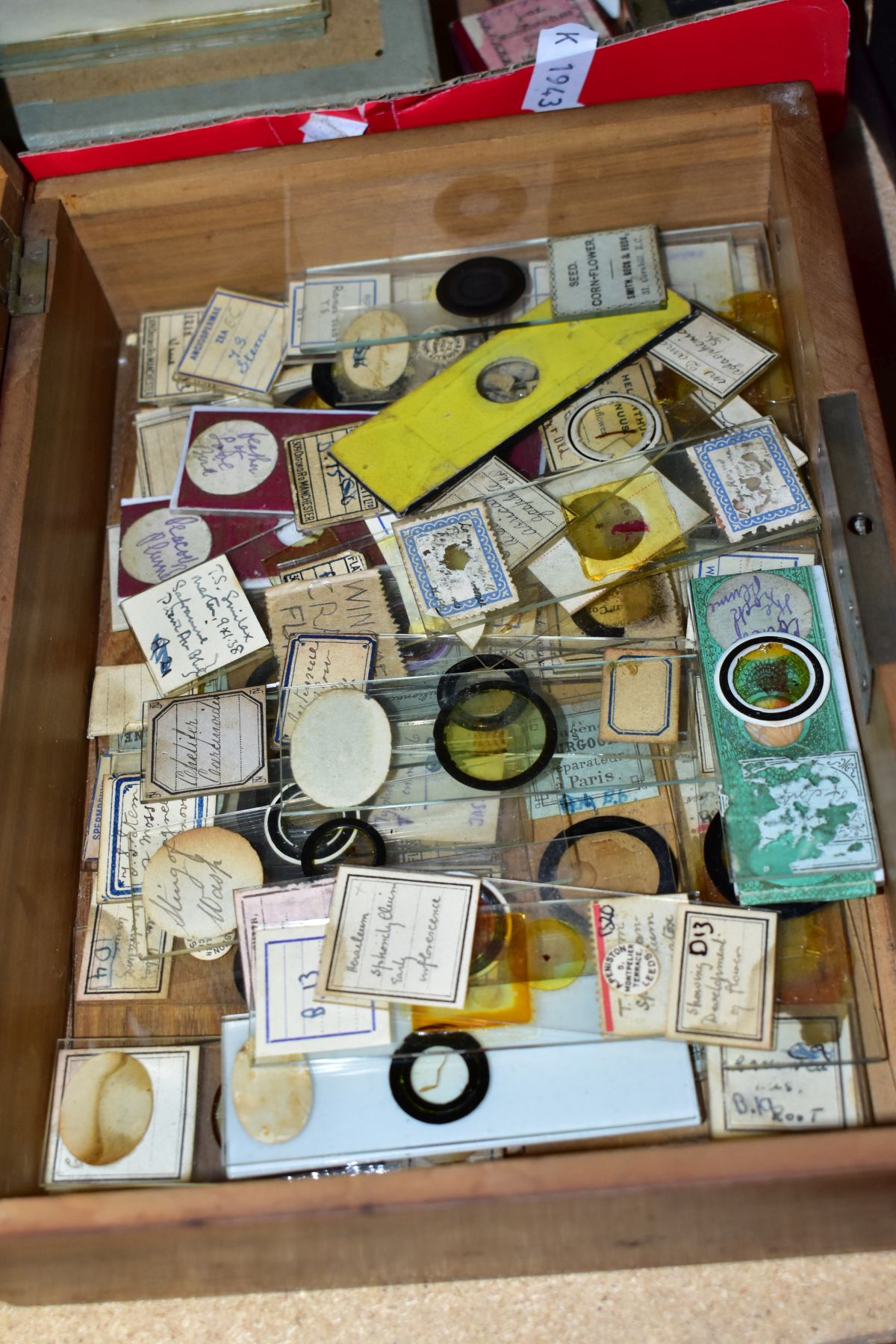 A LARGE QUANTITY OF ASSORTED MICROSCOPE SLIDES, Victorian and later, many named, biology, insects, - Image 4 of 7