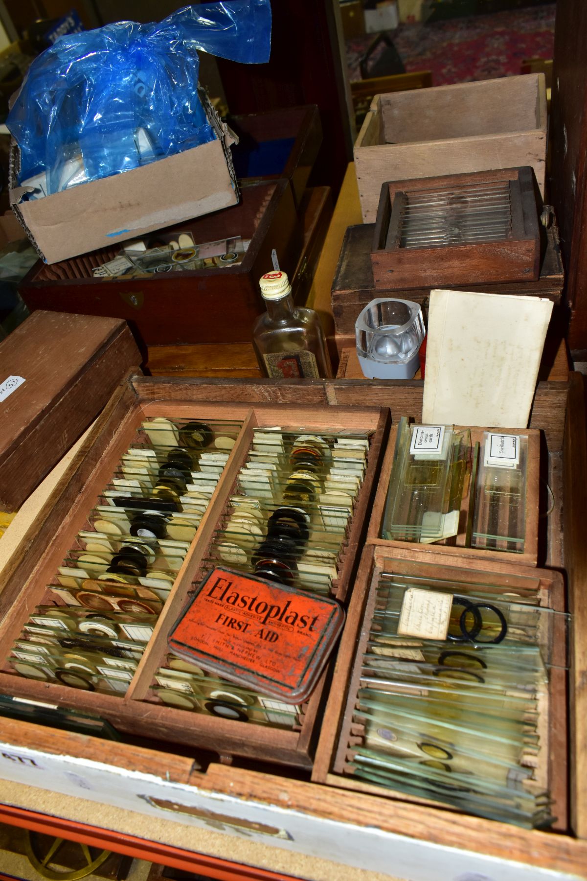 A LARGE QUANTITY OF ASSORTED MICROSCOPE SLIDES, Victorian and later, many named, biology, insects, - Image 2 of 7