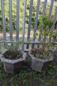 A PAIR OF WEATHERED COMPOSTITE OCTAGONAL PLANTERS, diameter 49cm x height 31cm, containing a