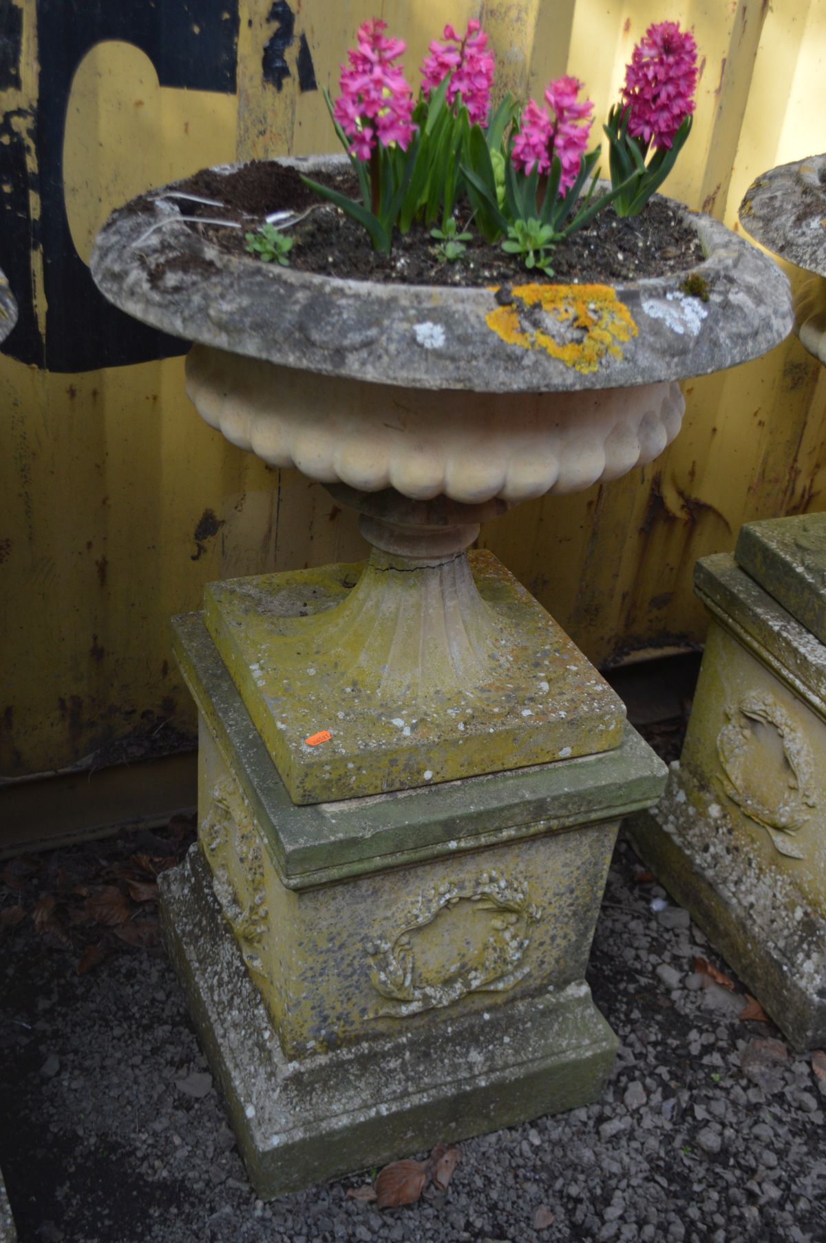 A LARGE WEATHERED RECONSTITUTED STONE CAMPANA GARDEN URN, on a separate square plinth base, diameter