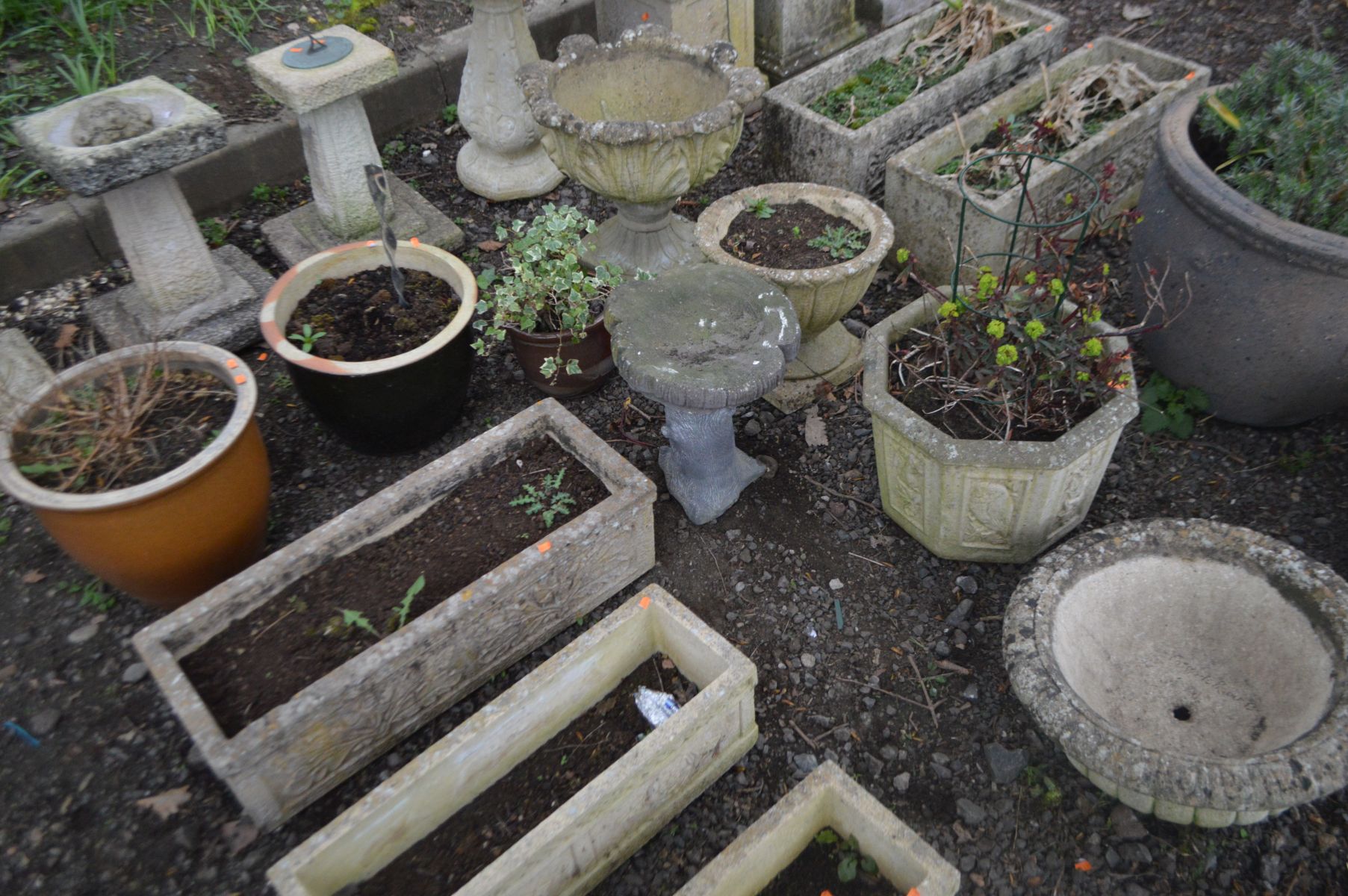 SEVEN VARIOUS PLANTERS, to include an acanthus planter, an octagonal planter, diameter 40cm x height