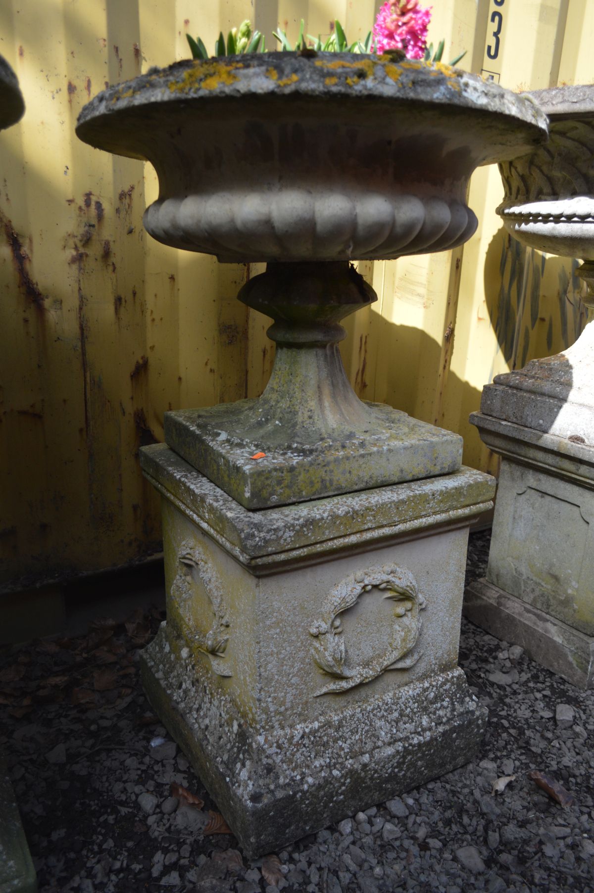 A LARGE WEATHERED RECONSTITUTED STONE CAMPANA GARDEN URN, on a separate square plinth base, diameter - Image 2 of 3