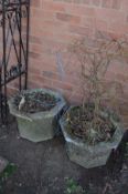 A PAIR OF WEATHERED COMPOSTITE OCTAGONAL PLANTERS, diameter 49cm x height 31cm