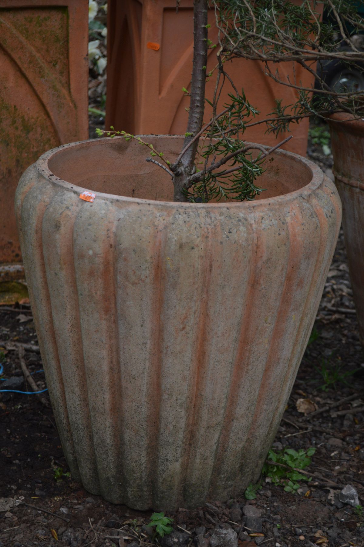 TWO LARGE TERRACOTTA PLANTERS, on with a reeded design, largest pot diameter 51cm x height 48cm, one - Image 2 of 3