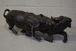 A HARDWOOD CARVING OF TWO WATER BUFFALO'S STAMPEDING, carved from a single piece of wood, losses and