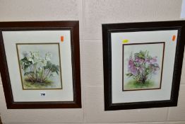 JOY CODD (BRITISH CONTEMPORARY), a pair of watercolours depicting wild flowers, signed bottom right,