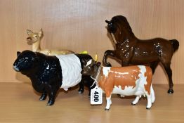 A BESWICK AYRSHIRE COW CH. 'ICKHAM BESSIE', gloss model No.1350, one horn broken and missing,