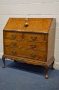 A REPRODUCTION BURR WALNUT BUREAU, with a fitted interior, four drawers, on cabriole legs, width