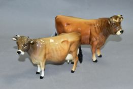 TWO BESWICK JERSEY CATTLE, Bull Ch.'Dunsley Coy Boy' No 1422 and Cow Ch 'Newton Tinkle' No 1345 (