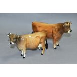 TWO BESWICK JERSEY CATTLE, Bull Ch.'Dunsley Coy Boy' No 1422 and Cow Ch 'Newton Tinkle' No 1345 (