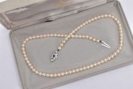A MODERN SINGLE ROW OF CULTURED PEARLS STRUNG TO AN 18CT WHITE GOLD DIAMOND AND SAPPHIRE CLASP,
