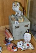 A BOXED ROYAL CROWN DERBY MODEL OF AN OWL, naturalistically modelled and painted, printed backstamp,