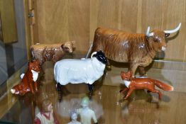 TWO BESWICK HIGHLAND CATTLE, a Cow No 1740 and a Calf No 1827D, both gloss, together with a Black